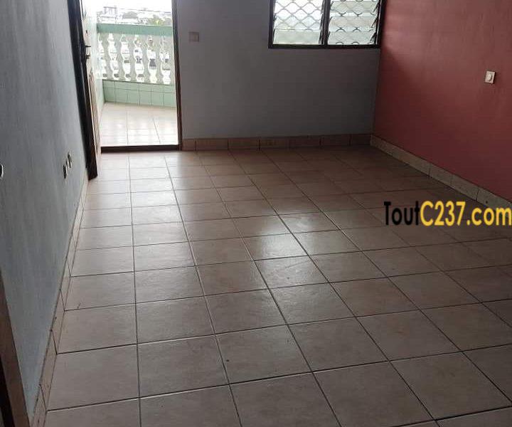 Appartement à louer à Kotto Douala