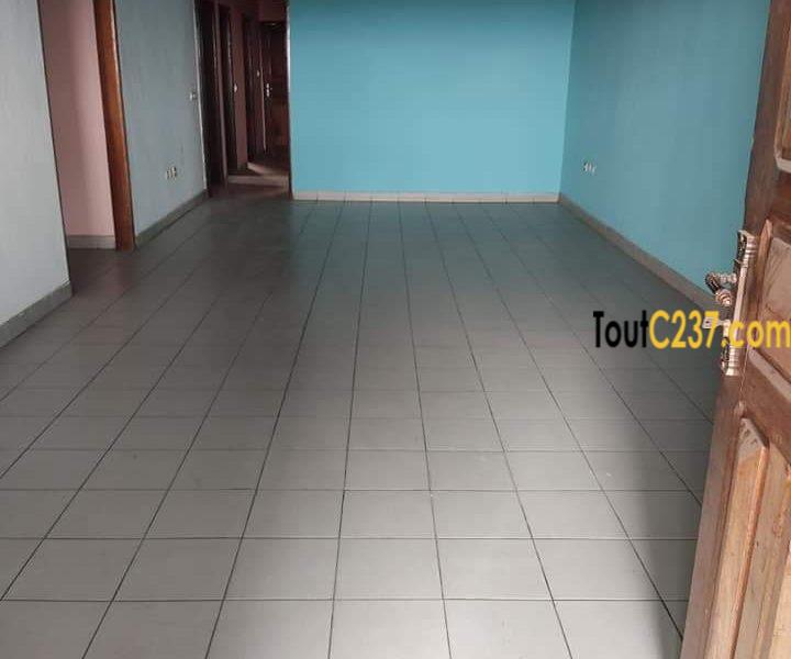 Appartement à louer à Kotto Douala