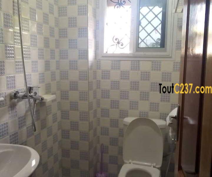 Appartement meublé à louer à Bonamoussadi, Douala
