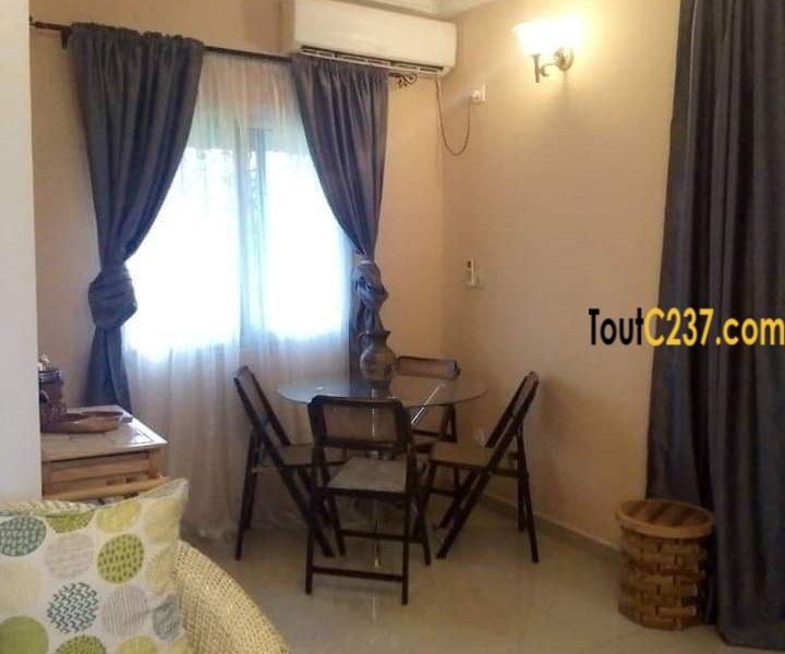 Appartement meublé à louer à Bonamoussadi, Douala