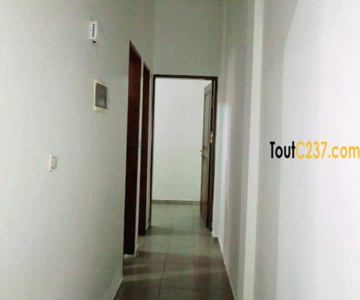 Appartement pour bureau à louer à Makepe Douala