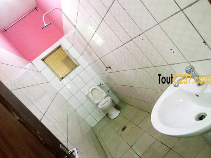 Appartement pour bureau à louer à Makepe Douala