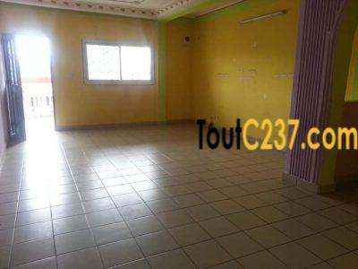 Appartement à louer à Bonamoussadi Douala