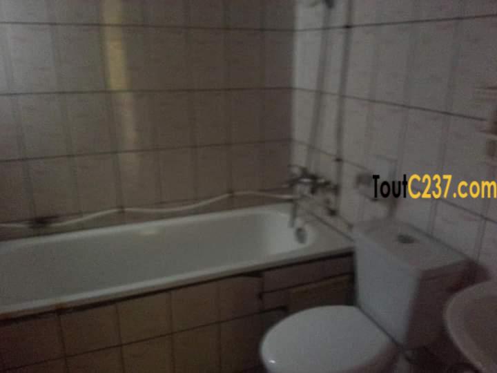 Appartement à louer à Bonamoussadi Douala