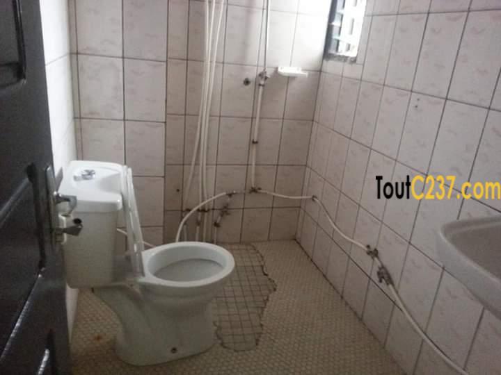 Appartement à louer à Bonamoussadi Douala