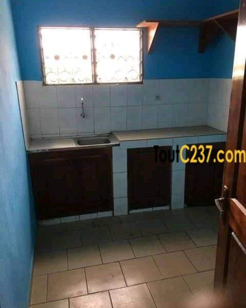 Appartement à louer à Bonamoussadi Douala