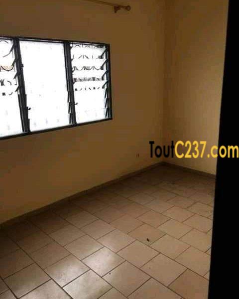 Appartement à louer à Bonamoussadi Douala