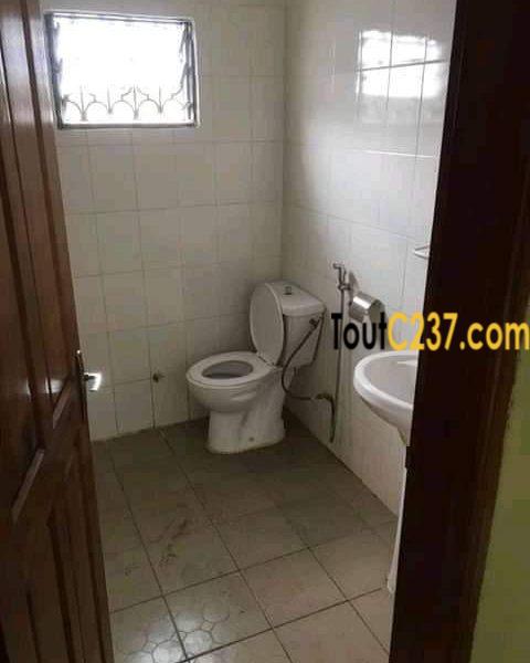 Appartement à louer à Bonamoussadi Douala