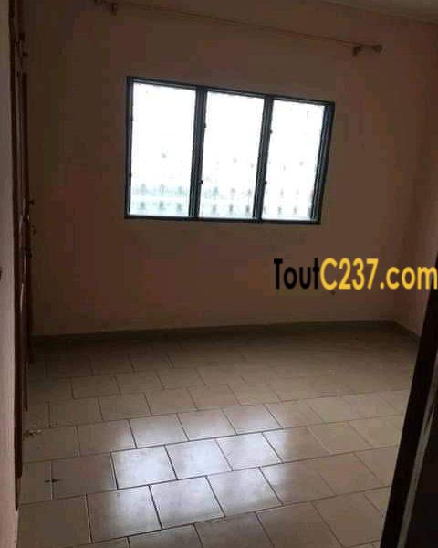 Appartement à louer à Bonamoussadi Douala