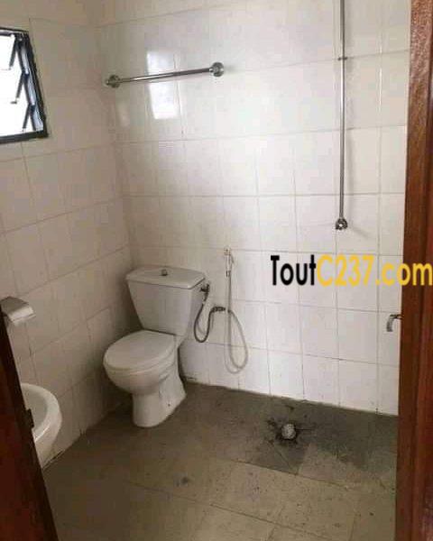 Appartement à louer à Bonamoussadi Douala