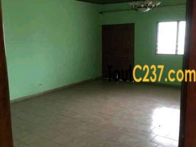 Appartement à louer à Bonamoussadi Douala