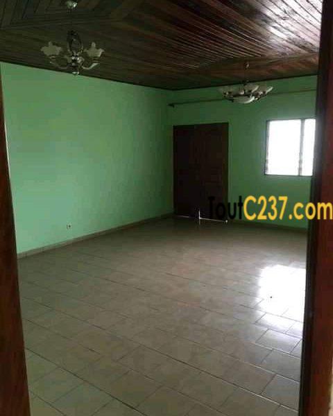 Appartement à louer à Bonamoussadi Douala