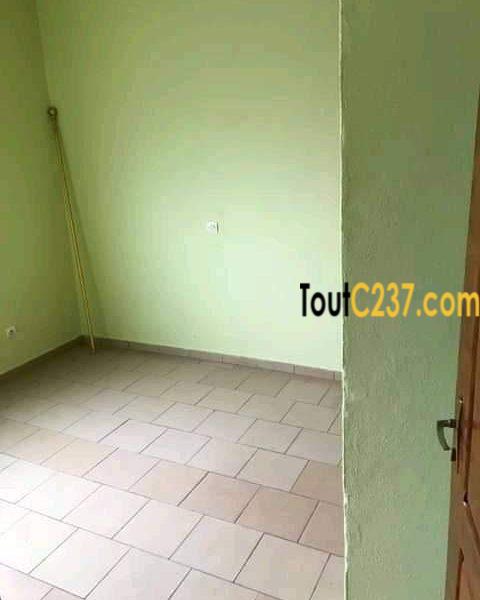 Appartement à louer à Bonamoussadi Douala