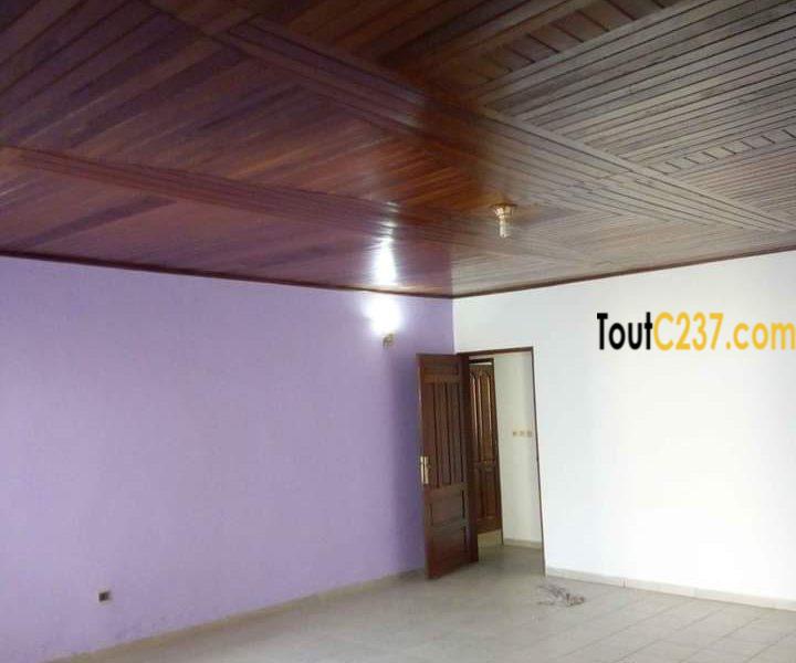 Maison villa à loué à Kotto Douala