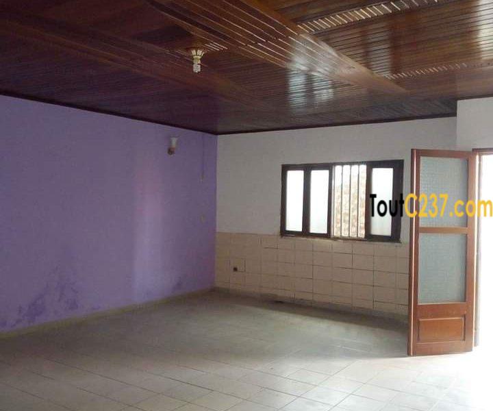 Maison villa à loué à Kotto Douala