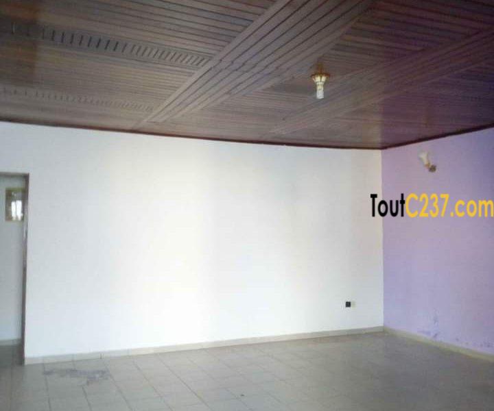 Maison villa à loué à Kotto Douala