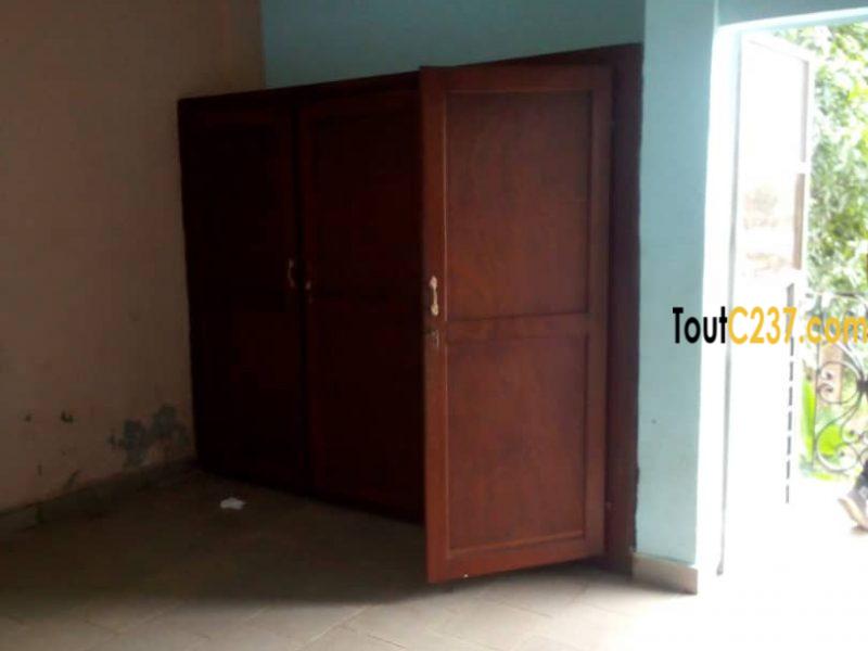 Appartement à louer à Kotto Douala
