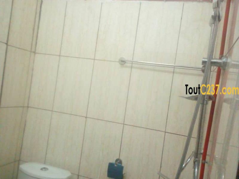 Appartement à louer à Logpom Douala