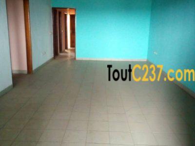 Appartement à louer à Kotto Douala