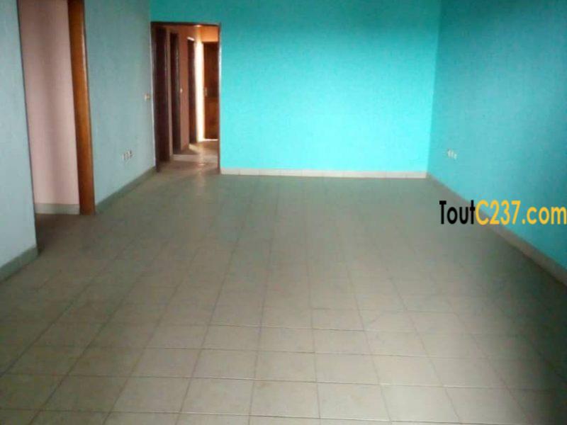 Appartement à louer à Kotto Douala