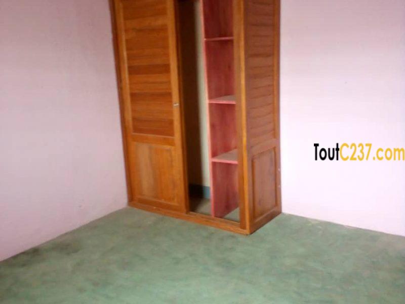 Appartement à louer à Kotto Douala