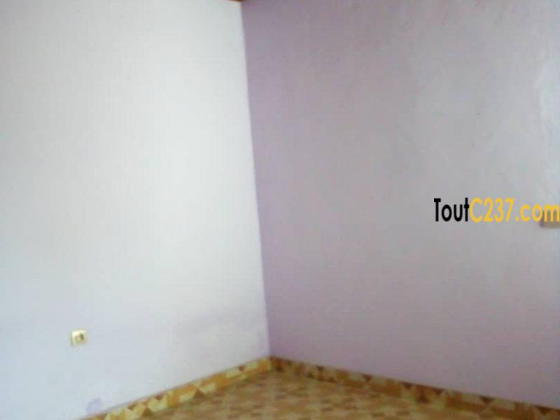 Appartement à louer à Kotto Douala