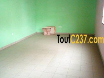 Appartement à louer à Kotto Douala
