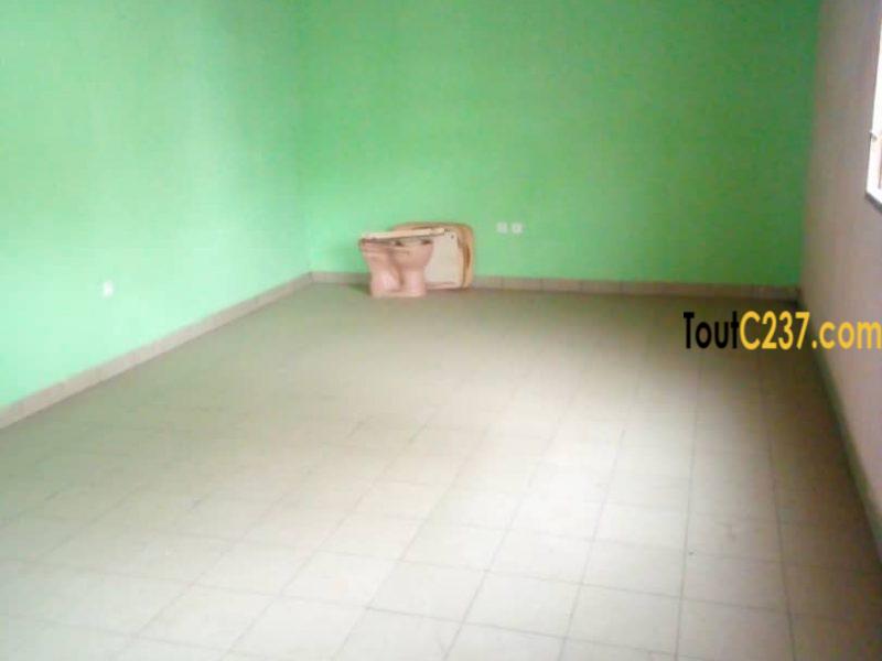 Appartement à louer à Kotto Douala
