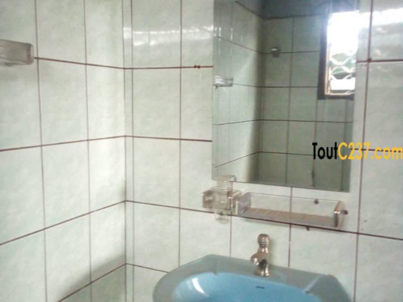 Appartement à louer à Kotto Douala