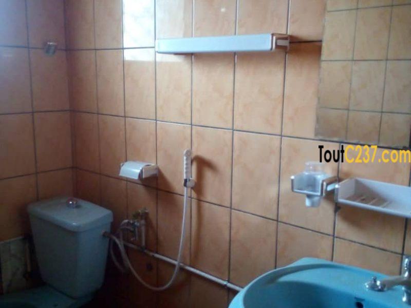 Appartement à louer à Kotto Douala