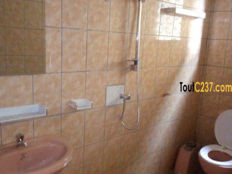 Appartement à louer à Kotto Douala