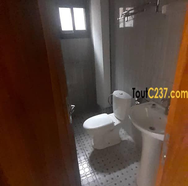 Appartement Neuf à louer à Bonamoussadi Douala