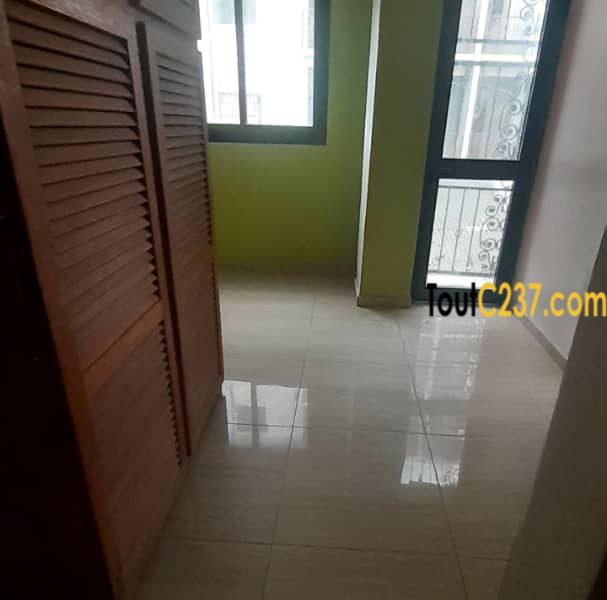 Appartement Neuf à louer à Bonamoussadi Douala