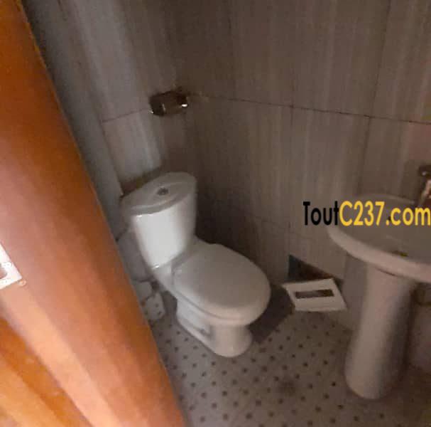 Appartement Neuf à louer à Bonamoussadi Douala