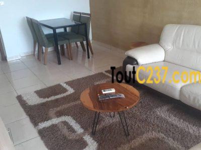 Appartements meubles à louer à Bonapriso Douala