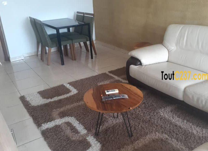 Appartements meubles à louer à Bonapriso Douala