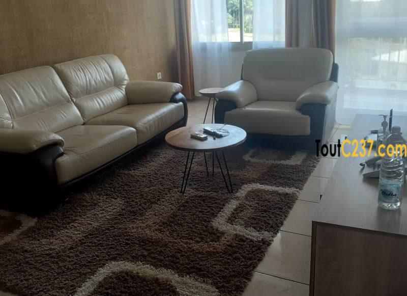 Appartements meubles à louer à Bonapriso Douala