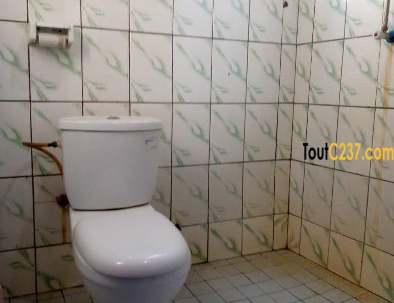 Appartement à louer à Deido Douala