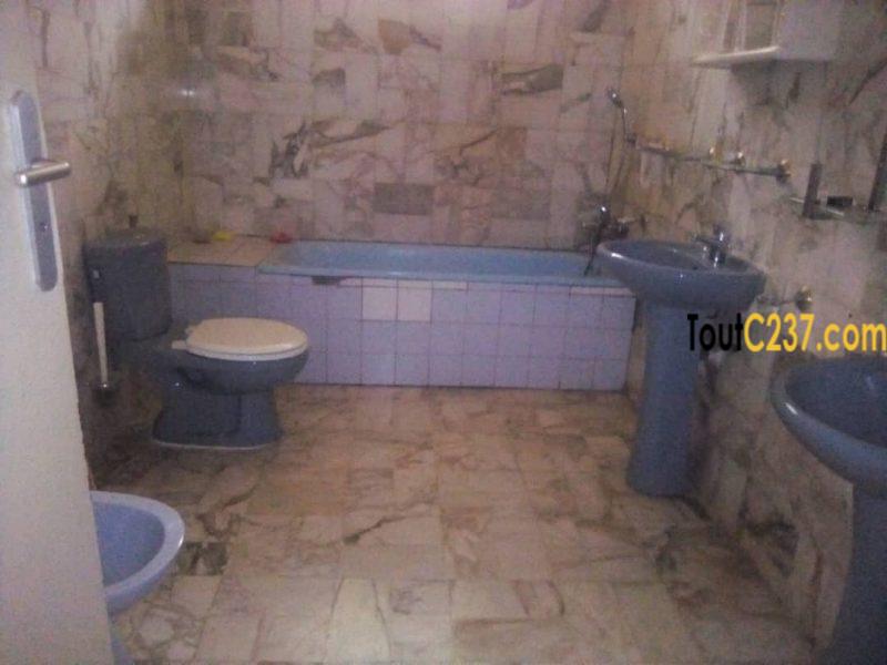 Villa à loué à Bonapriso Douala