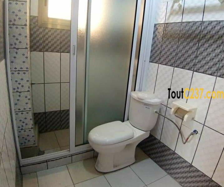 Appartemeent à louer à Bonamoussadi Douala