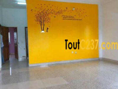 Appartemeent à louer à Bonamoussadi Douala