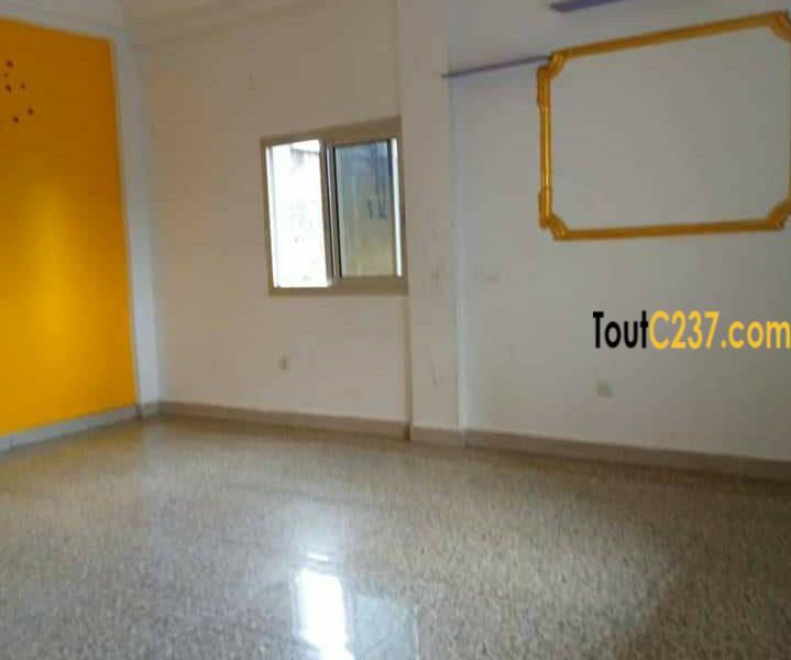 Appartemeent à louer à Bonamoussadi Douala