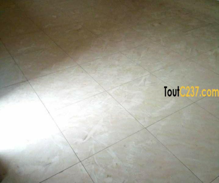 Appartement à louer à Bonamoussadi Douala
