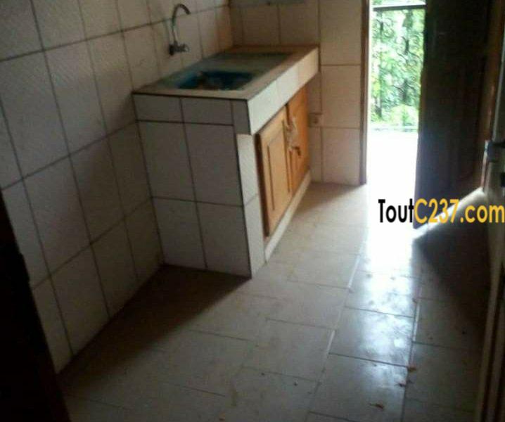 Appartement à louer à Bonamoussadi Douala