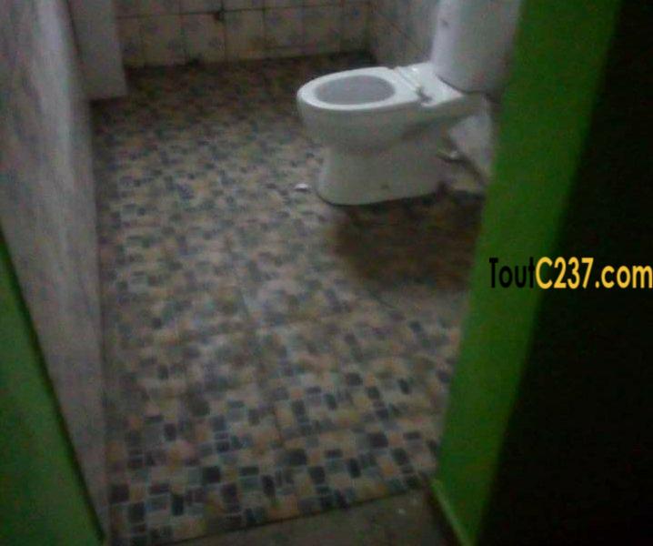 Appartement à louer à Bonamoussadi Douala