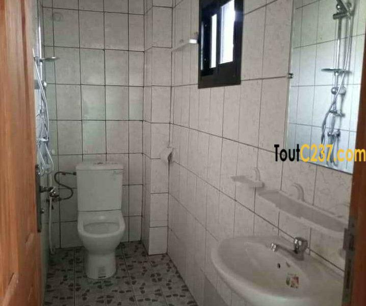 Appartement à louer à Bonamoussadi Douala