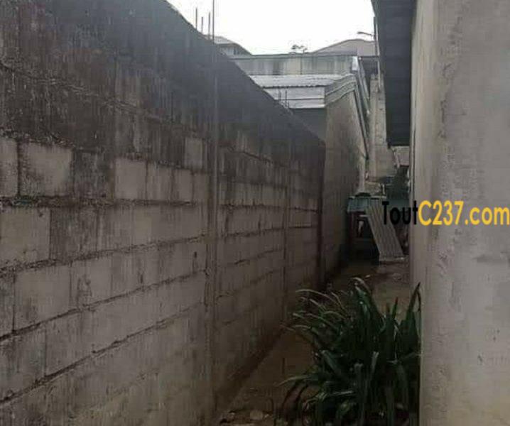 Maison à vendre à Douala Pk12