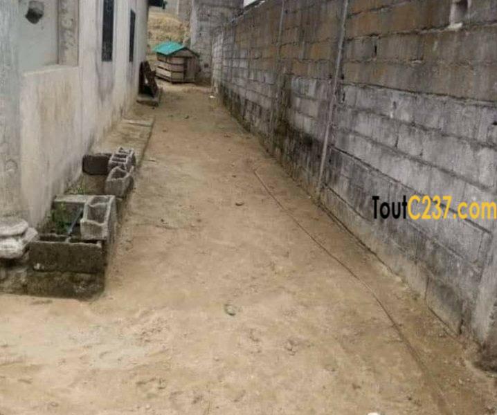 Maison à vendre à Douala Pk12