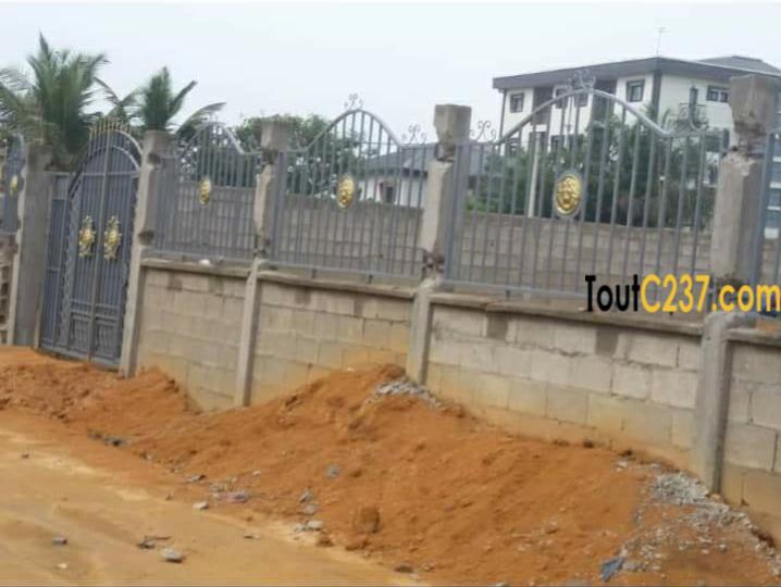 Terrain à vendre à Douala Bonaberi