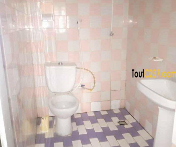 Maison villa à louer à Douala Logpom
